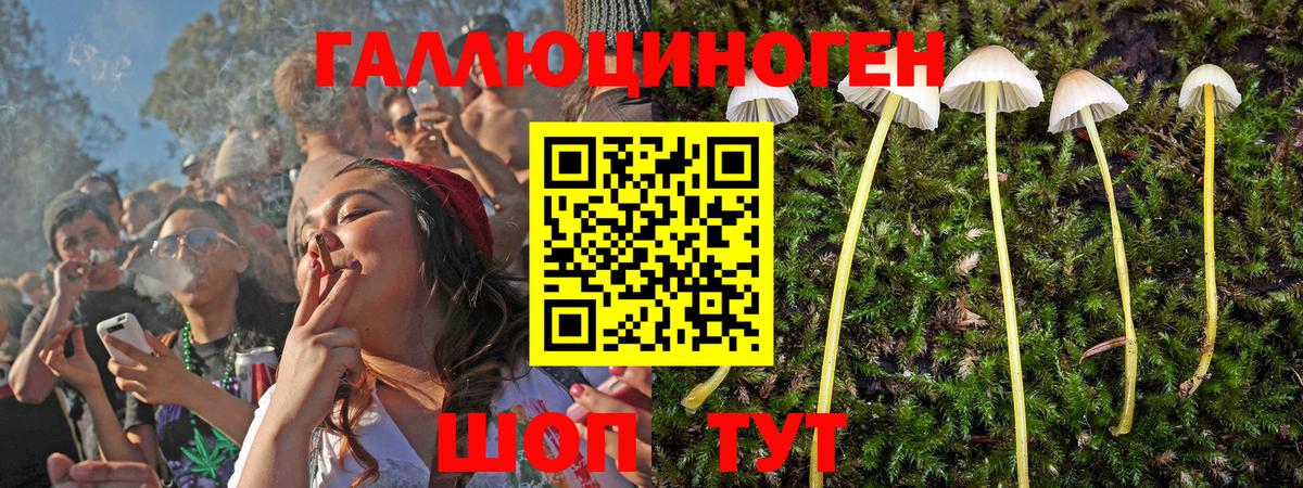 Псилоцибиновые грибы Magic Shrooms Зеленокумск
