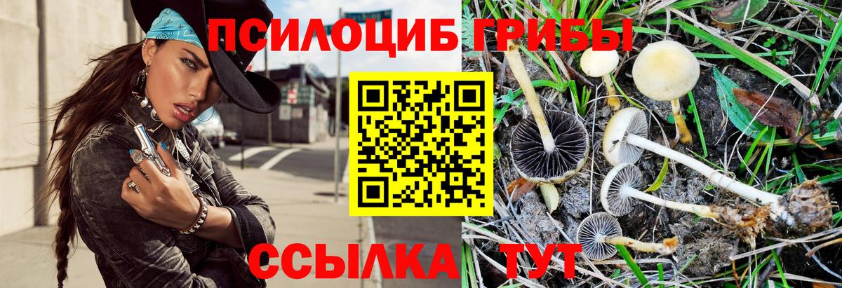 Галлюциногенные грибы ЛСД  Вход с VPN  Зеленокумск 
